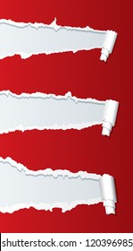 Vector illustration of a ripped paper.