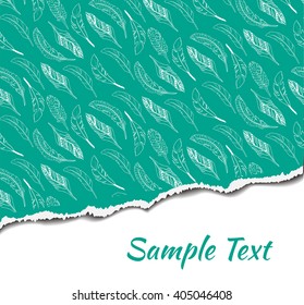 Vector illustration of ripped paper with place for your image or text. Ripped pattern.
