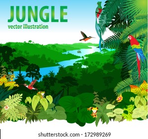 Vector Illustration River in Jungle Rainforest with Frog, Toucan, quetzal, humming-birds and Ara