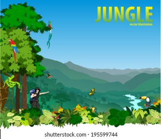 Vector Illustration River in Jungle Rainforest with Frog, Toucan, quetzal, humming-birds and Ara and girl traveler