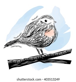 Vector illustration of robin bird sitting on the branch in hand drawn and watercolor style