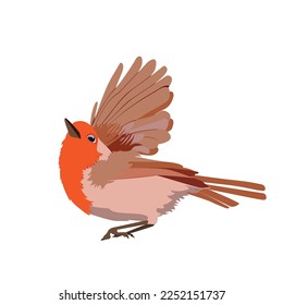 A vector illustration of a robin redbreast on a white isolated background. Template for greeting cards, web design, education.
