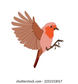 A vector illustration of a robin redbreast on a white isolated background. Template for greeting cards, web design, education.