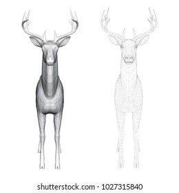 Vector illustration of roe deer, front view. Two deer with polygonal and reticulated 3D.