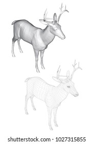 Vector illustration of roe deer, isometric view. Two deer with polygonal and reticulated 3D.