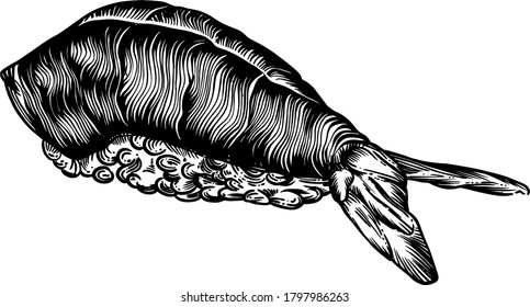 Ilustración vectorial de rollos, sushi y mariscos al estilo de boceto. Dibujo detallado de imágenes con una línea en blanco y negro. Para menús, banners, iconos, stickers y cualquier otra dirección. Sin inconvenientes 