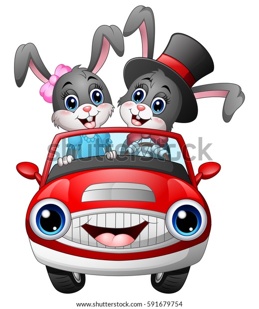 Vector illustration of Romantic couples cartoon\
rabbit driving a car