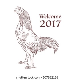 Vector illustration of rooster. 2017 Symbol. Chinese calendar. Vector outline  for New Year's design. 