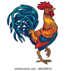 Vector illustration of a rooster