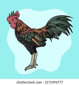 Vector illustration of a rooster.  Can be used as a logo, icon, brand, and mascot