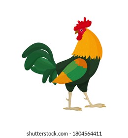Die Vektorgrafik eines Hahns im Cartoon-Stil mit grünen Federn im Schwanz blickt zurück. Helle Hahn als Symbol oder Maskottchen für Kinderbücher, Bekleidungsdesign und Postkarten mit Buchstaben.