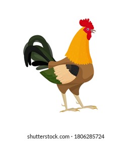 Vector illustration of a rooster in a cartoon style with beige feathers. Bright rooster as a symbol or mascot for children's books, clothing design and postcards with letters.
