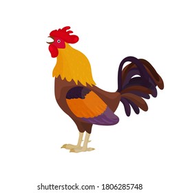 Vector illustration of a rooster in a cartoon style sings. Bright rooster crows as a symbol or mascot for children's books, clothing design and postcards with letters.