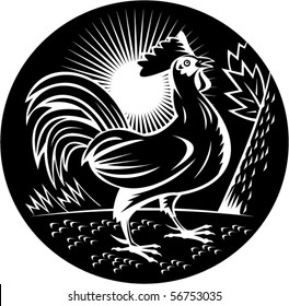 vector illustration of a Rooster cockerel crowing done in woodcut style and in black and white