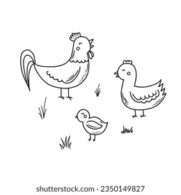 Vector illustration of a rooster and a hen with chicks hand drawn for your design
