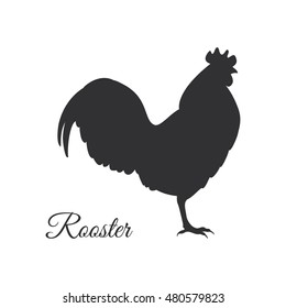 Vector Illustration of a rooster . Isolated on a white background.