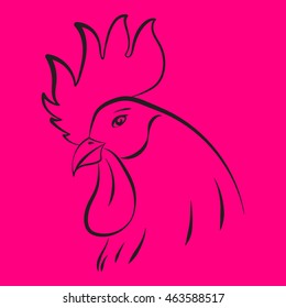 Vector illustration of rooster on magenta background.