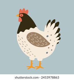 vector illustration of a rooster on a turquoise background, flat style