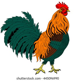 Vector illustration of a rooster. Sketch.