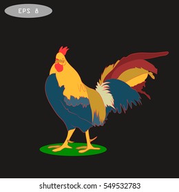 Vector illustration of rooster, symbol  2017 on the Chinese calendar.