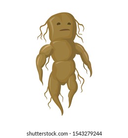 Vector illustration of root and plant icon. Web element of root and mandrake vector icon for stock.