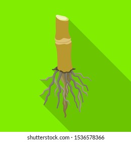 Vector illustration of root and sugar symbol. Web element of root and cane stock symbol for web.