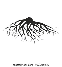 Vector Illustration : The root of the tree