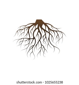 Vector Illustration : Roots Design