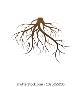Vector Illustration : Roots Style Of Tree