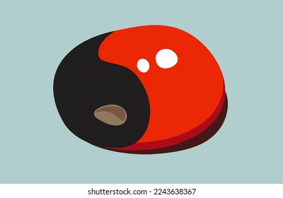 Vector illustration of a rosary pea seed(Abrus precatorius).