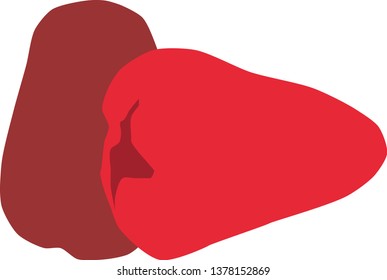 Vector illustration rose apple