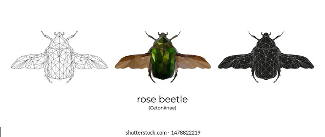 Vector illustration of a rose beetle in low poly style. 3 isolated illustrations on a white background: linear, color, silhouette. Geometric beetle made of triangles. Polygonal illustration.