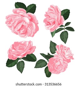 Vector Illustration of rose bunch set