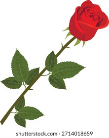 Vektorgrafik einer Rose. Kann für eine Postkarte, eine Website, ein Buch oder ein Poster verwendet werden.