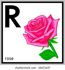 Как переводится rise. Английские розы. Как будет Розочка на английском.