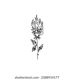 vector illustration of a rose with fire concept