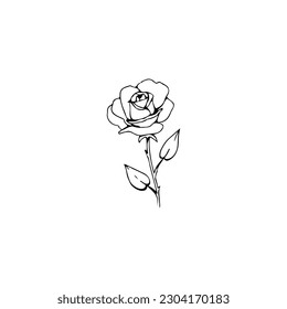  vector illustration of a rose flower