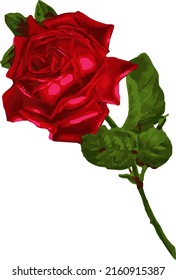 ilustración vectorial de un arreglo de flor rosa una combinación de arte y la belleza de varios tipos de bellas rosas asociadas con varios objetos