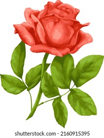 vector illustration of a rose flower arrangement a combination of art and the beauty of various types of beautiful roses associated with several objects