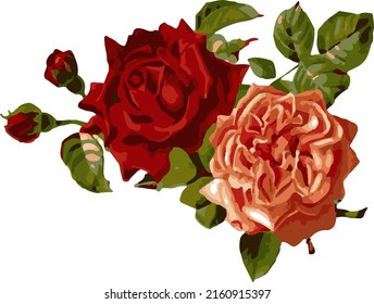 ilustración vectorial de un arreglo de flor rosa una combinación de arte y la belleza de varios tipos de bellas rosas asociadas con varios objetos