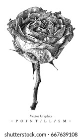 Vector illustration with rose flower drawn by hand. Graphic drawing, pointillism technique. Black and white floral element for design