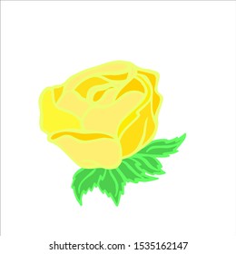 
vector illustration rose flower isolated