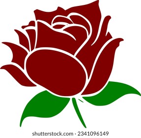 vector illustration of rose flower on white background