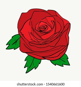 
vector illustration rose flower, simple drawing
