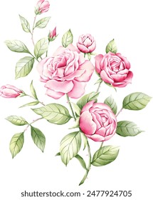 Ilustración vectorial de flores de rosa con capas separadas