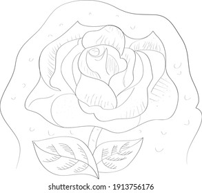 ilustración vectorial de rosa en gráfico. arte abstracto con rosa, tatuaje de rosa