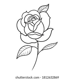 vector illustration of rose graphic design, icon, art tattoo sketch, logo, hand draw, use in print