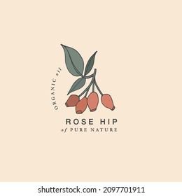 Vector illustration rose hip branch - vintage engraved style. Logo composition in retro botanical style