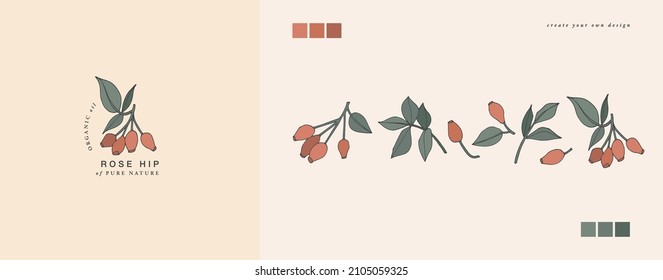 Vector illustration rose hip branch - vintage engraved style. Logo composition in retro botanical style.