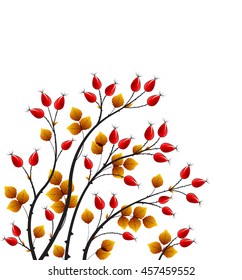 Vector illustration rose hip, colorful autumn bush